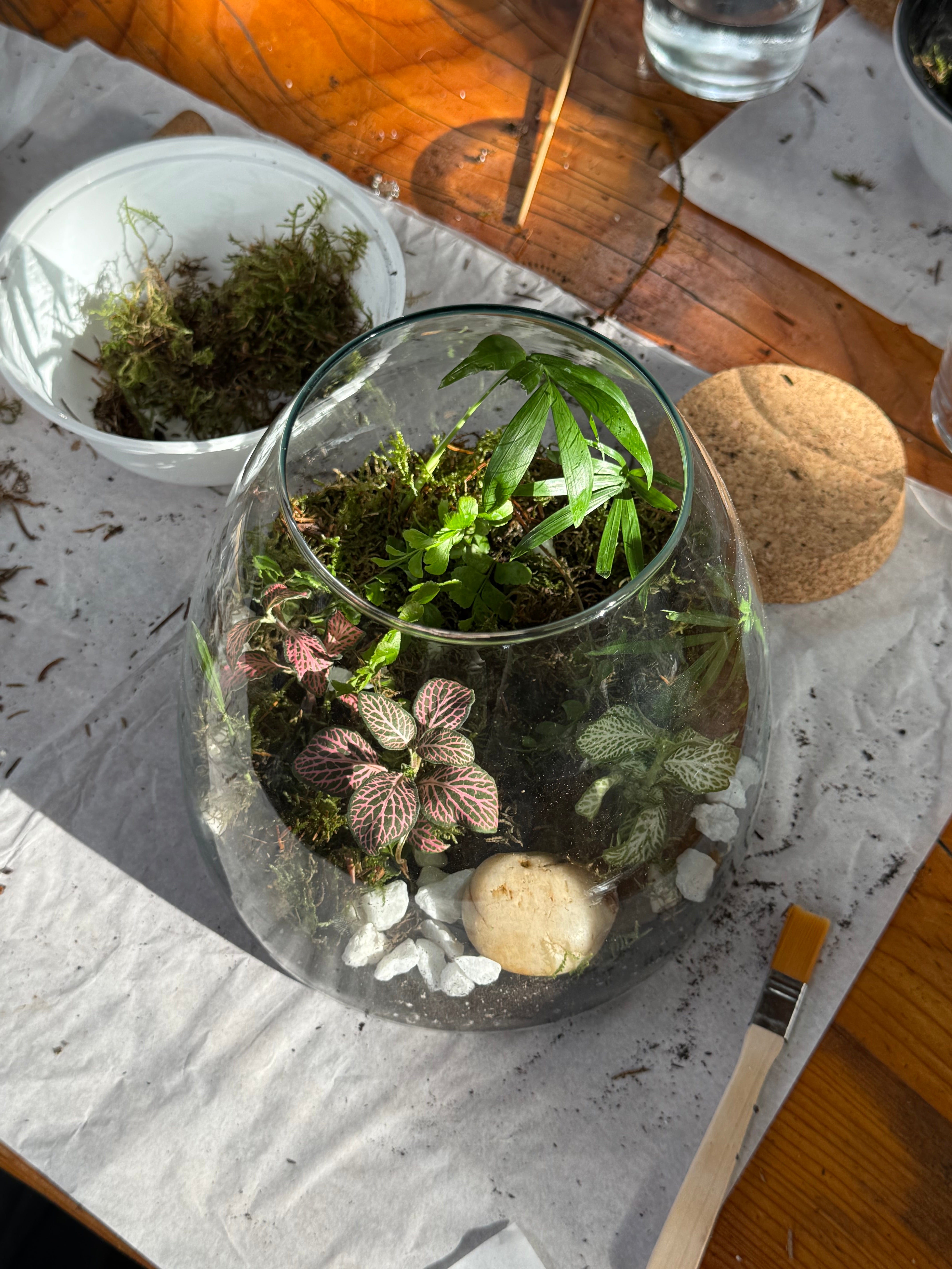 04/02 Terrarium Tropicale e aperitivo da Cortile Flora Milano - €59,00