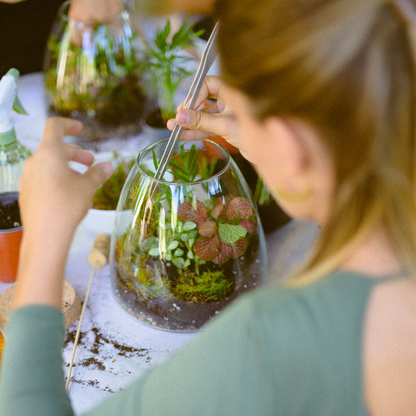 01/11 Terrarium e brunch al Sanctuary Eco Retreat Roma - €72,00