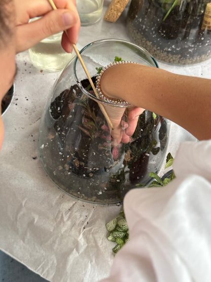 04/02 Terrarium Tropicale e aperitivo da Cortile Flora Milano - €59,00