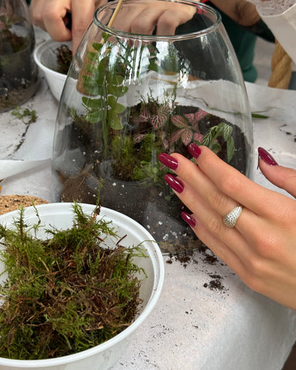 22/11 Terrarium Tropicale e colazione da Combo Torino - €39,00