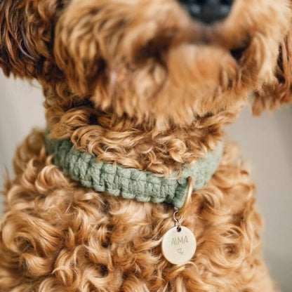 21/03 Collari in macramè con ciondoli personalizzati e colazione all’Hilton Eur La Lama di Roma - 45,00€