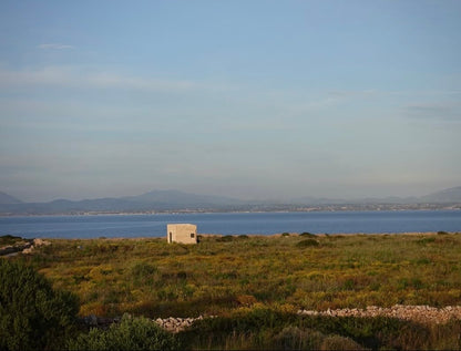 BAONOW RETREAT FAVIGNANA
