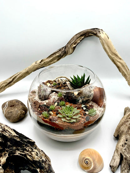 17/05 Desertarium e brunch al Sanctuary Eco Retreat di Roma - €74,00
